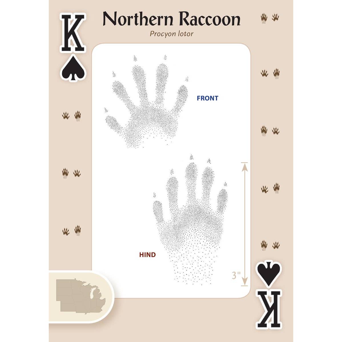 Animal Tracks of the Midwest Playing Cards
