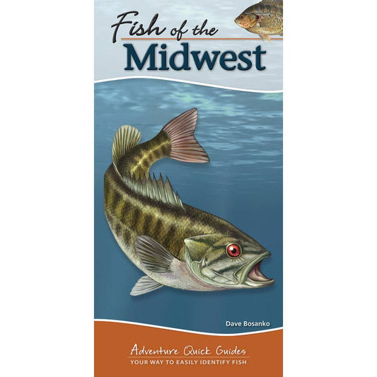 Fish of the Midwest Quick Guide