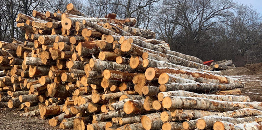Firewood